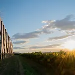 Bella Rosa Lejlighed Koper