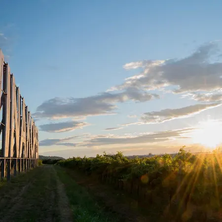 Bella Rosa Appartamento Capodistria