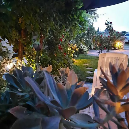 Appartamento Bella Rosa *