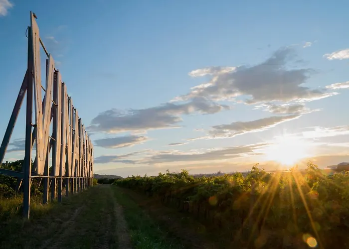 Bella Rosa Lejlighed Koper